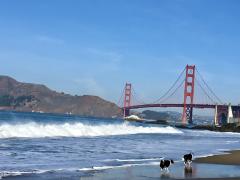 [Photo : Plage de San Francisco avec vue sur le Golden Gate Bridge]