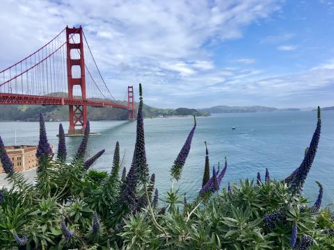 [Photo : vue sur le Golden Gate Bridge San Francisco]