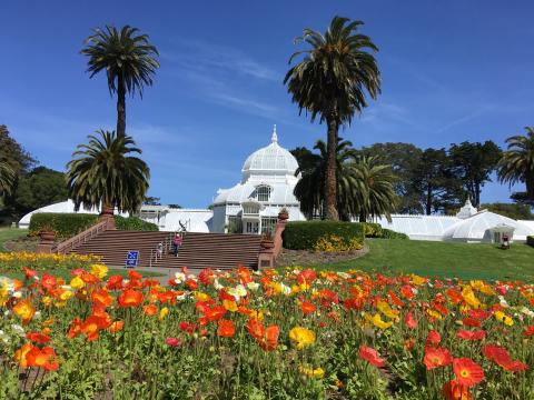 [Photo : Academy of Flowers dans le Golden Gate Park San Francisco]