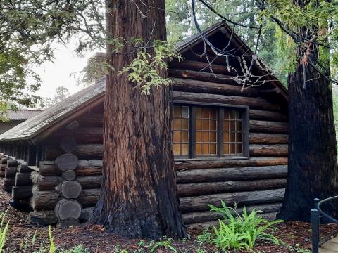 cabane de bois sur le campus de Berkeley