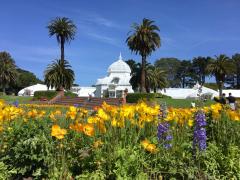 [Photo : Conservatory Of Flower dans le Golden Gate Park]