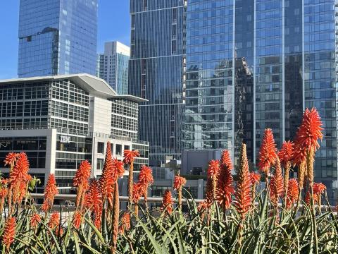 Jardin et immeubles de verre à San Francisco